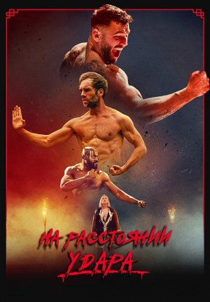 На расстоянии удара / The Last Kumite