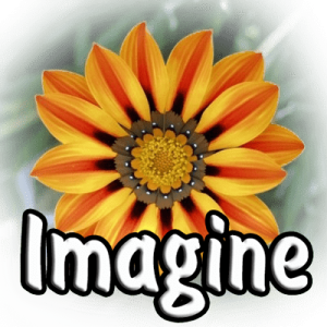 Imagine